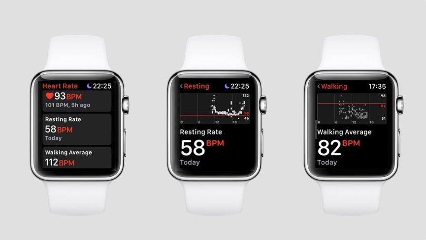 Apple Watch heart rate guide: How to use all of Apple's HR features