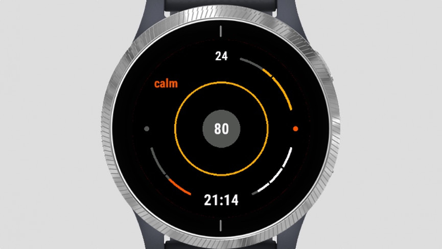 calmguru garmin connect iq