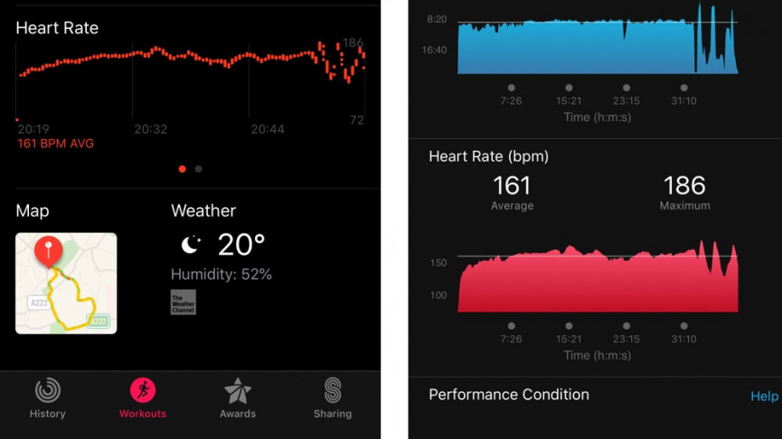 Apple Watch heart rate guide: How to use all of Apple's HR features