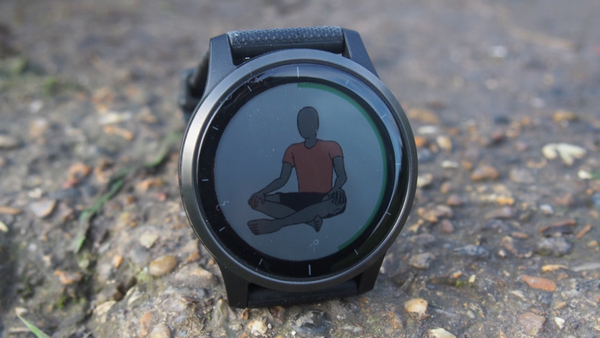 Garmin Venu 2 v Venu v Vivoactive 4: Garmin smartwatches compared